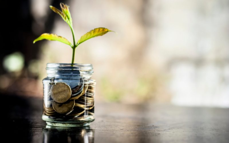A,Glass,Jar,Full,Of,Coins,And,Plant,Growing,Through