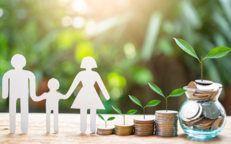 Plant,Money,Coins,Saving,Growth,Up,Increase,To,Profit,Interest