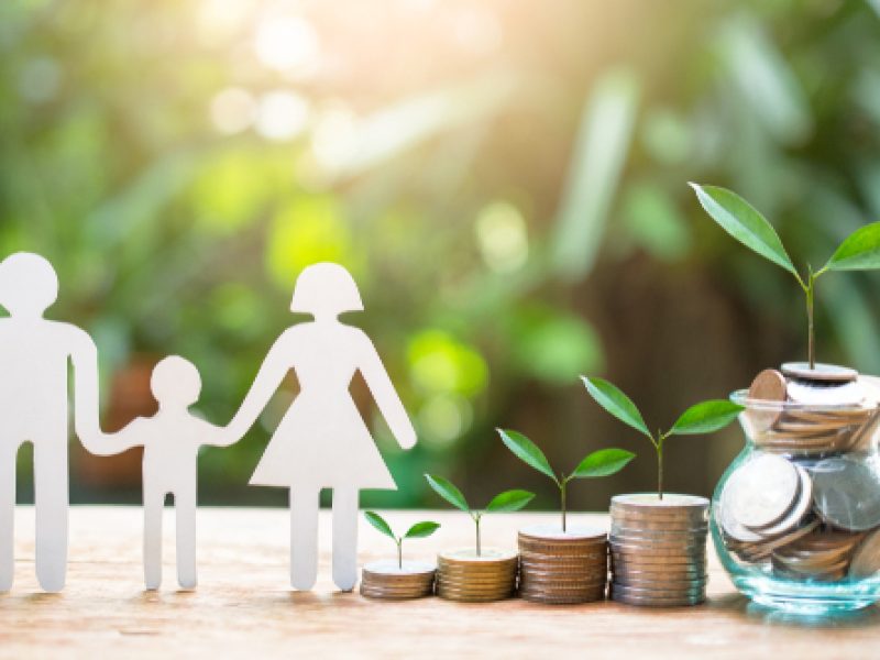 Plant,Money,Coins,Saving,Growth,Up,Increase,To,Profit,Interest